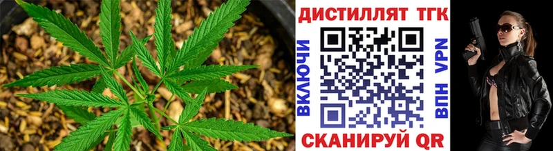 Дистиллят ТГК Wax  Тогучин 